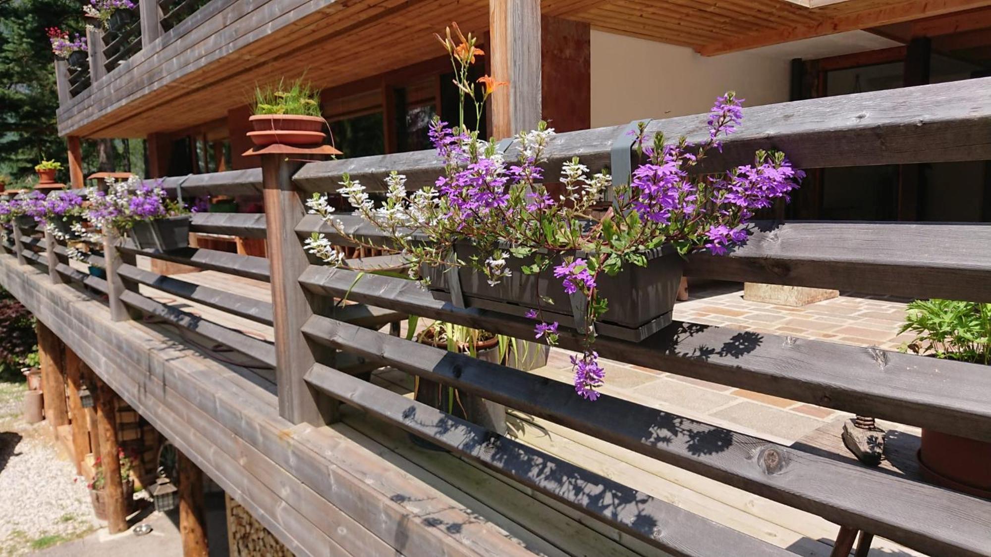 Villa Bosca - Adults Only Predazzo Zewnętrze zdjęcie