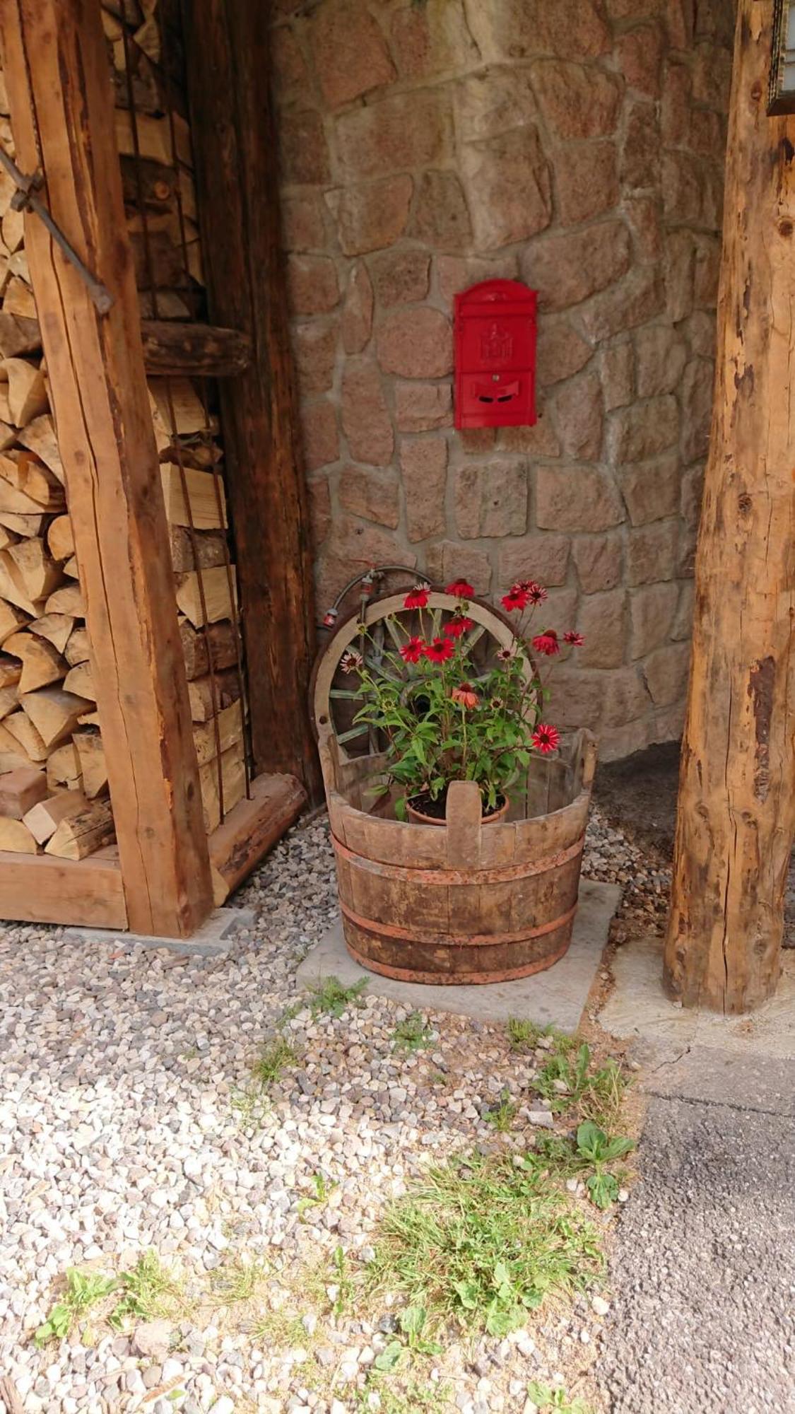 Villa Bosca - Adults Only Predazzo Zewnętrze zdjęcie